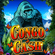 Tiền Mặt Congo icon