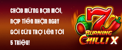 Ưu Đãi Giới Thiệu promotion